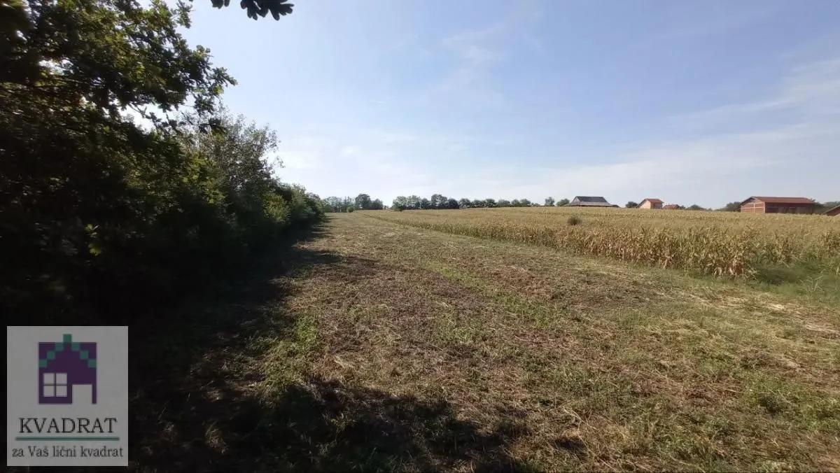 Prodaja, plac, 5400m², Stubline, Obrenovac