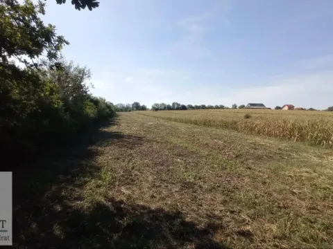 Sale, land lot, 5400m², Stubline, Obrenovac - image 4