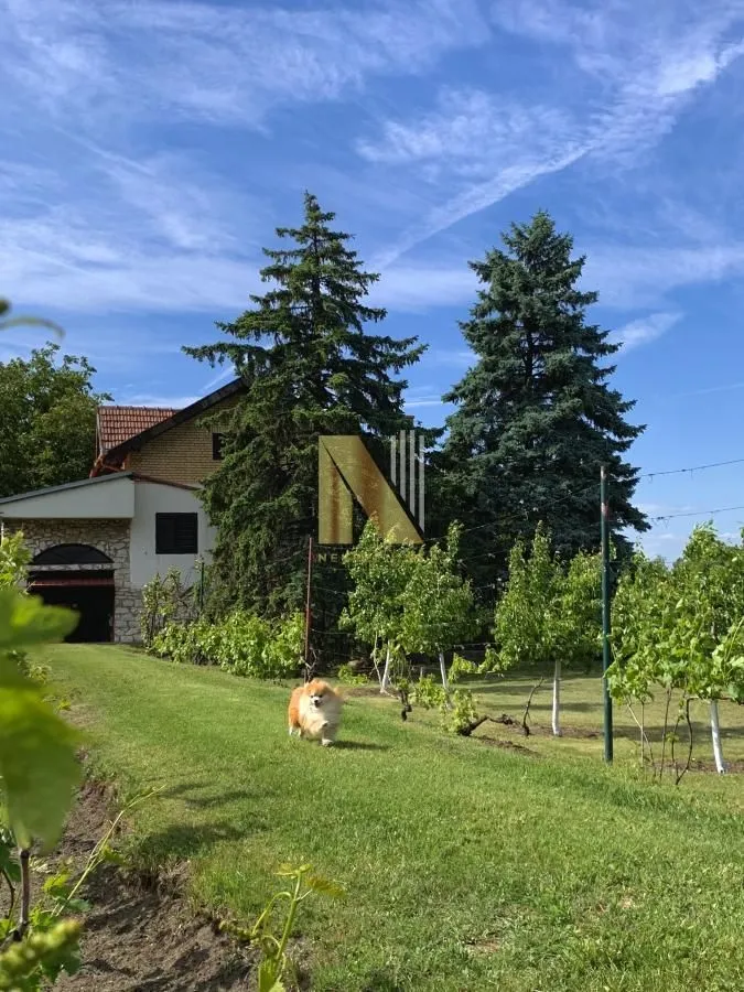 Prodaja, plac, 190m², Kikinda, Srbija
