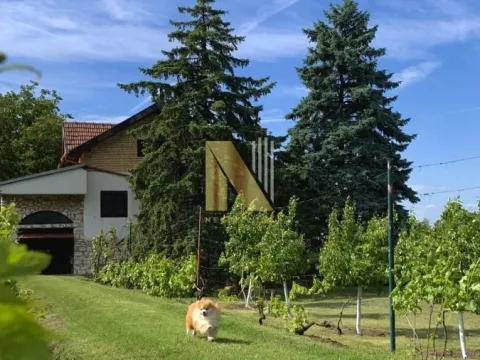 Sale, land lot, 190m², Kikinda, Srbija - image 32