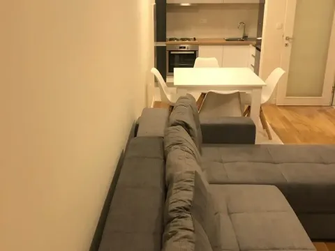 Rent, one bedroom apartment, 46m², Central Point, Podgorica - image 3