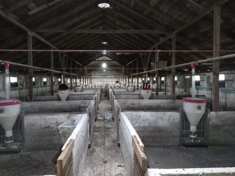 Sale, office space, 848m², Titel, Novi Sad - image 7