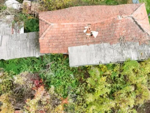 Sale, house, 50m², Leskovac, Srbija - image 4