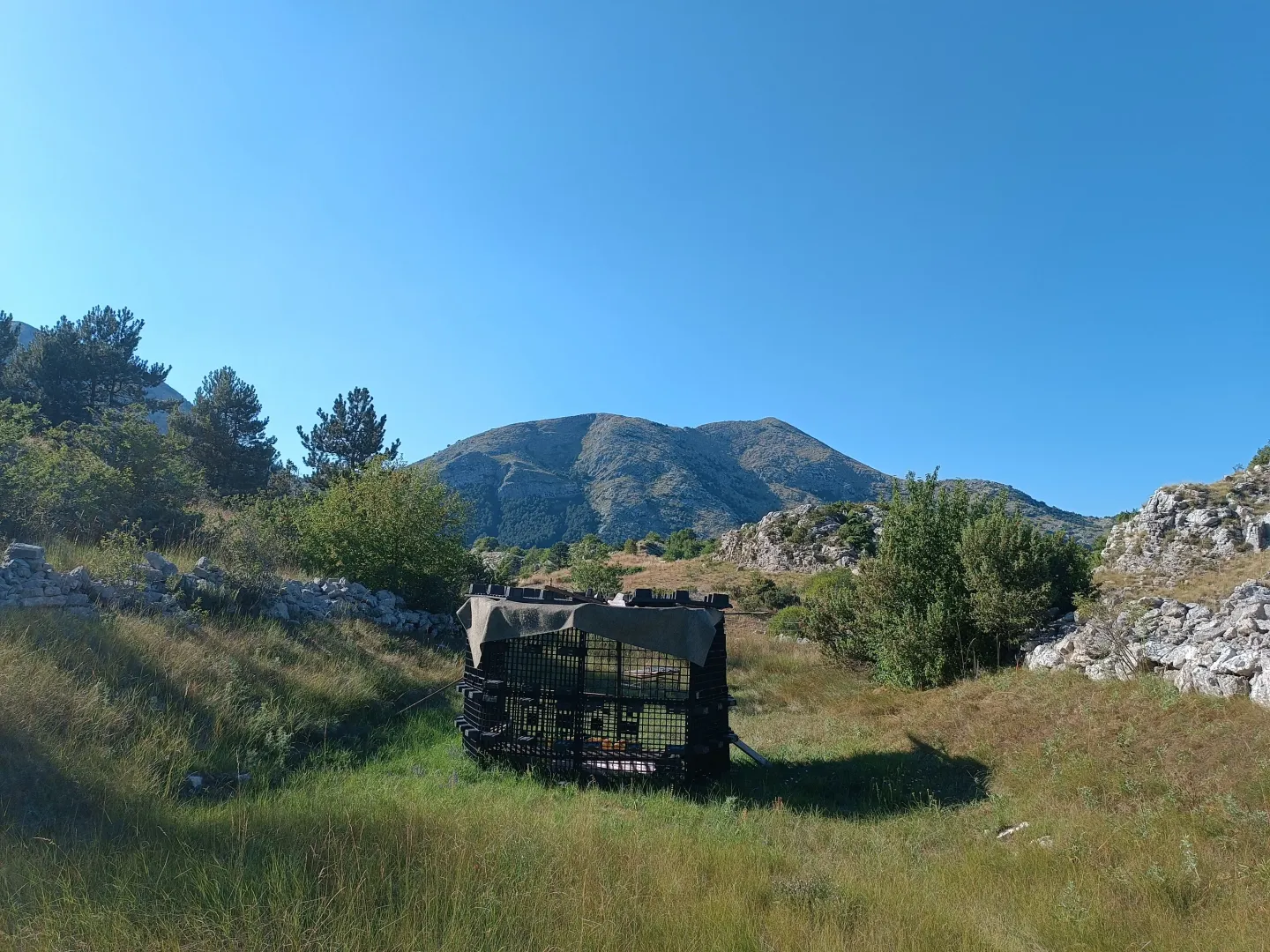 Prodaja, plac, 2000m², Njeguši, Cetinje