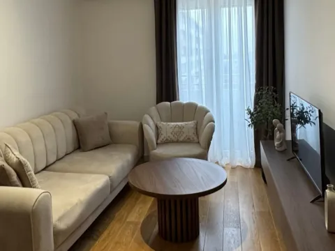 Izdavanje, stan, 43m², Central Point, Podgorica
