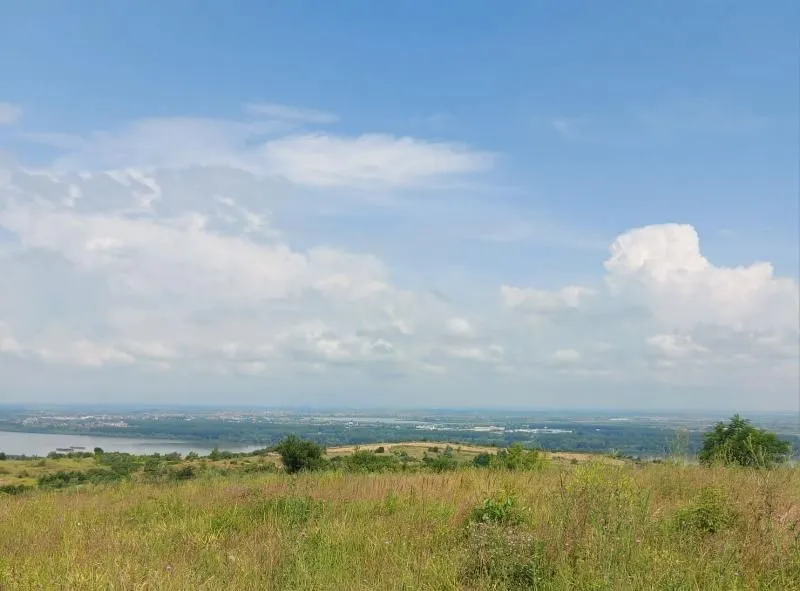 Prodaja, plac, 10000m², Višnjica, Palilula Sve Podlokacije