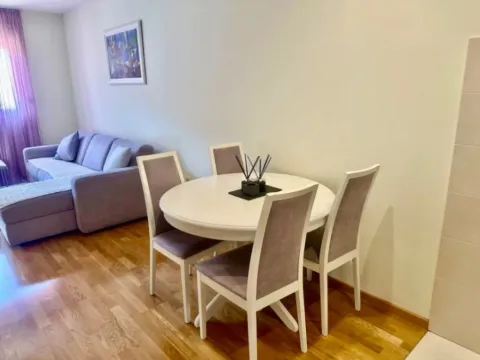 Izdavanje, jednosoban stan, 46m², Zagorič, Podgorica - image 7