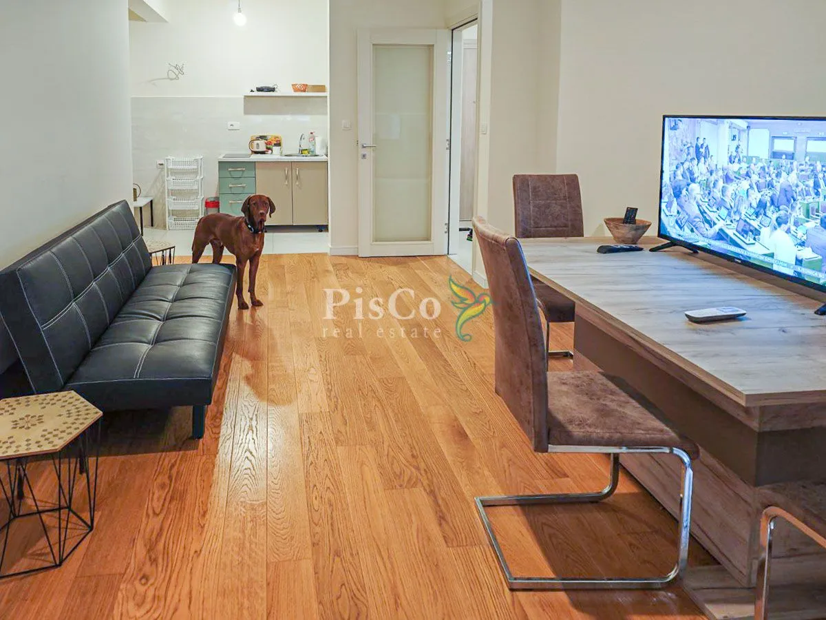 Izdavanje, jednosoban stan, 51m², Central Point, Podgorica