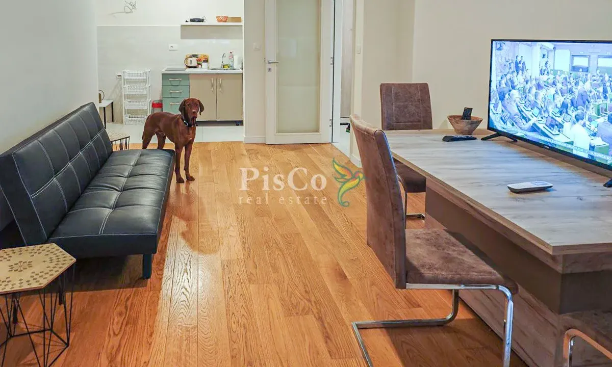 Izdavanje, jednosoban stan, 51m², Central Point, Podgorica