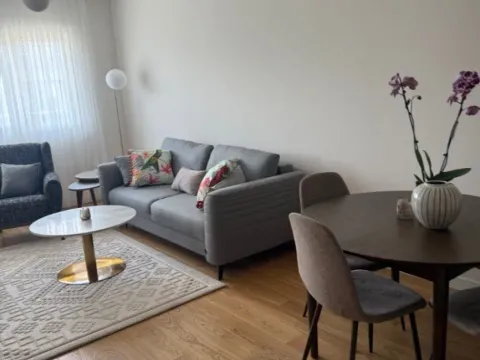 Izdavanje, jednosoban stan, 49m², Central Point, Podgorica - image 5