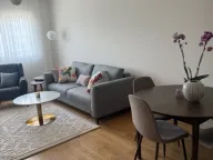 Izdavanje, jednosoban stan, 49m², Central Point, Podgorica - image 5