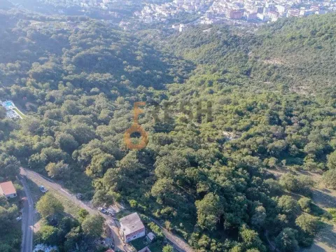 Prodaja, plac, 41645m², Budva, Crna Gora - image 5