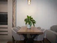 Izdavanje, jednosoban stan, 47m², Stari Aerodrom, Podgorica - image 3