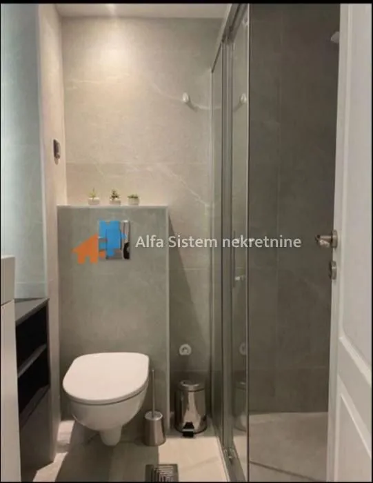 Izdavanje, dvosoban stan, 65m², Tašmajdan, Palilula Sve Podlokacije