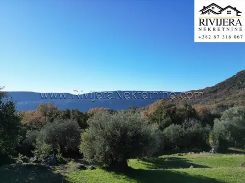 Prodaja, plac, 1553m², Trebesinj, Herceg Novi - image 3