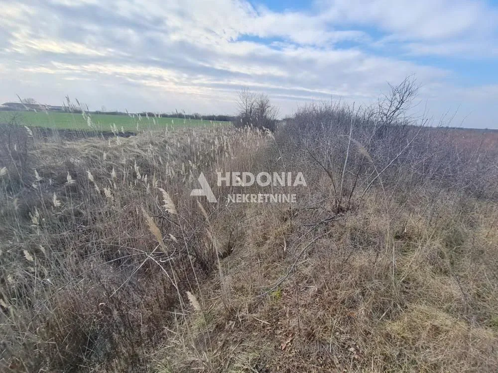 Prodaja, plac, 11500m², Šimanovci, Pećinci
