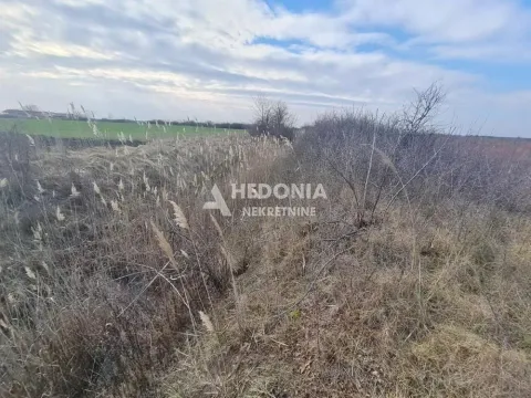 Prodaja, plac, 11500m², Šimanovci, Pećinci - image 3