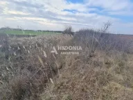 Prodaja, plac, Šimanovci, Pećinci - image 3