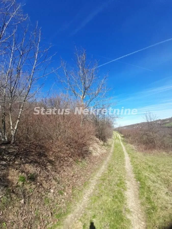 Prodaja, plac, 7025m², Sremski Karlovci, Novi Sad