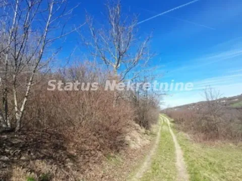 Sale, land lot, 7000m², Sremski Karlovci, Novi Sad - image 5