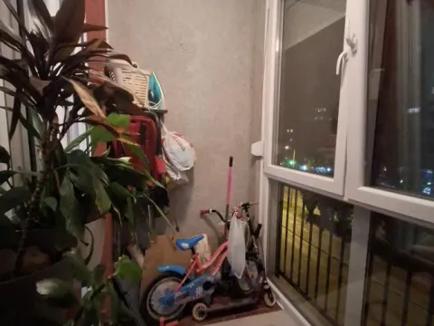 Prodaja, dvosoban stan, 52m², Bulevar Evrope, Novi Sad Sve Podlokacije - image 6