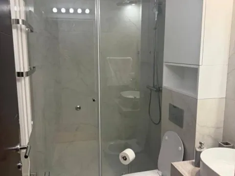 Izdavanje, dvosoban stan, 55m², Vračar Sve Podlokacije, Beograd - image 4