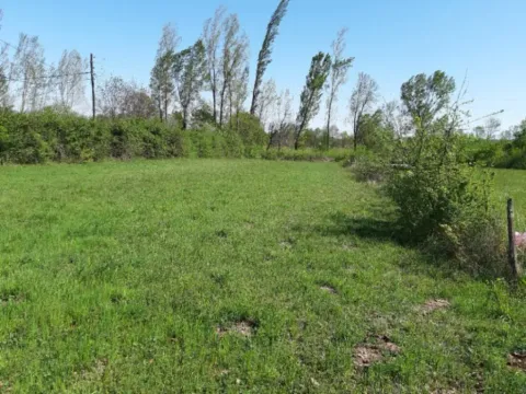 Sale, land lot, 1818m², Ćurilac, Danilovgrad - image 4