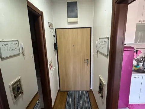 Izdavanje, jednosoban stan, 35m², Stara Varoš, Podgorica - image 6