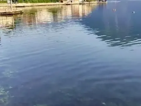 Prodaja, garsonjera, 25m², Prčanj, Kotor - image 11