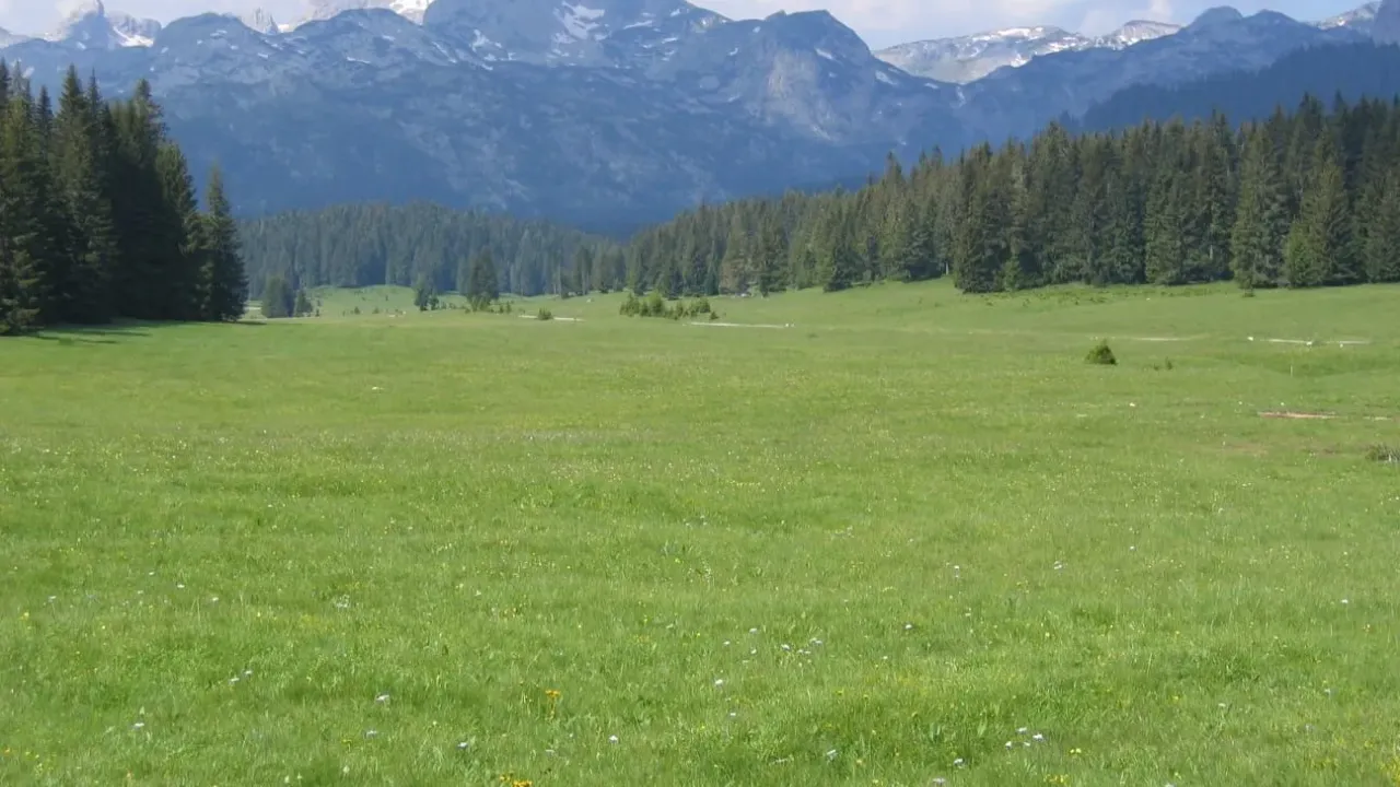 Sale, land lot, 6056m², Centar, Žabljak