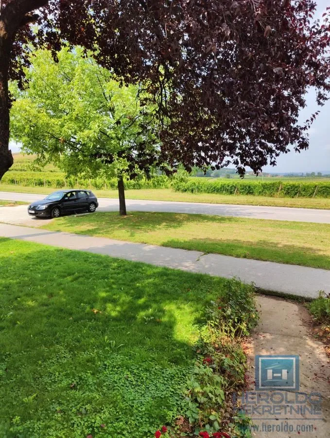 Rent, hospitality venue, 1000m², Strelište, Jagodina