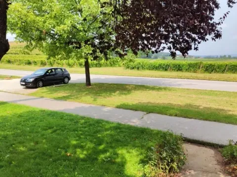 Izdavanje, ugostiteljski objekat, 1000m², Strelište, Jagodina - image 35