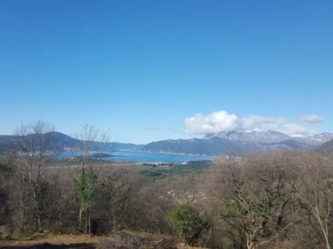 Prodaja, plac, 994m², Pržice, Kotor - image 6