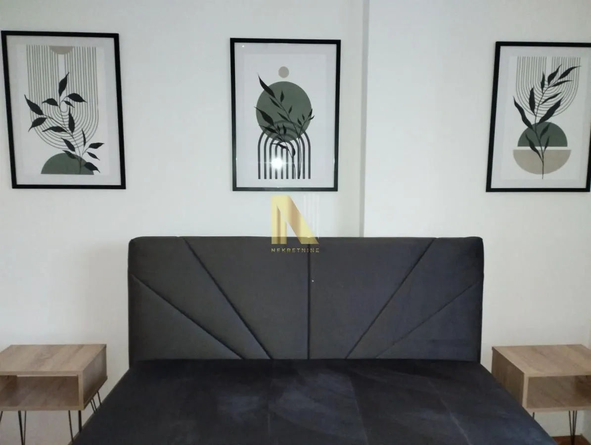 Izdavanje, dvosoban stan, 42m², Centar, Novi Sad