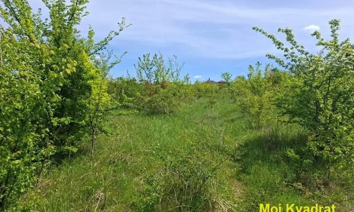 Sale, land lot, 8884m², Rušanj, Beograd