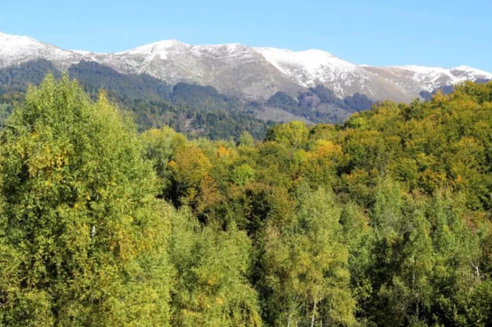 Prodaja, plac, 89208m², Padež, Kolašin