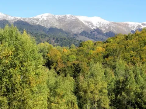 Prodaja, plac, 89208m², Padež, Kolašin - image 2