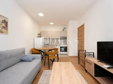 Izdavanje, jednosoban stan, 40m², Tološi, Podgorica - image 2