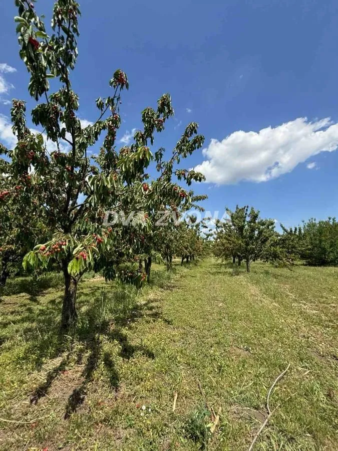 Prodaja, plac, 287m², Novi Slankamen, Inđija