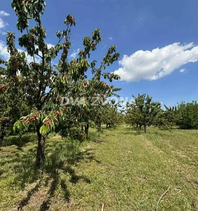 Sale, land lot, 287m², Novi Slankamen, Inđija