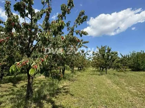 Sale, land lot, 287m², Novi Slankamen, Inđija