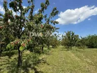 Sale, land lot, 287m², Novi Slankamen, Inđija - image 1