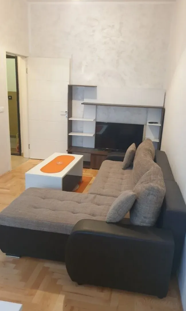 Izdavanje, dvosoban stan, 38m², Centar, Novi Sad