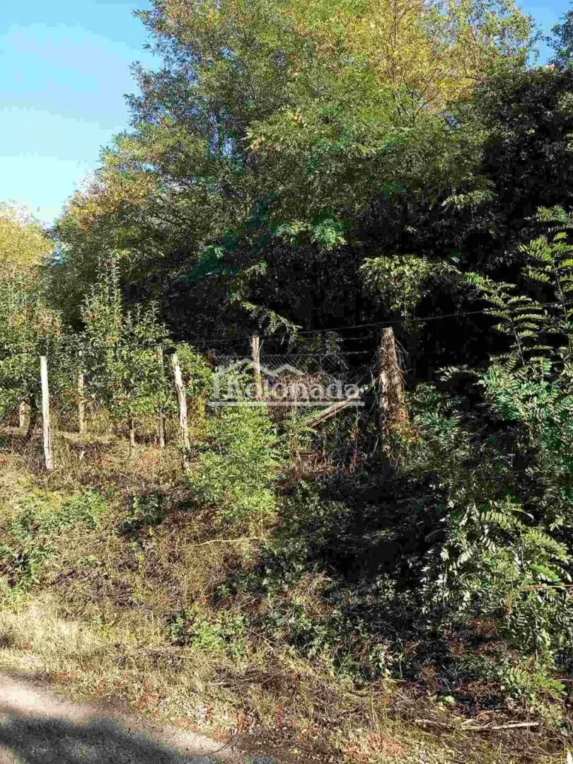 Zarasli plac sa drvećem i ogradom.