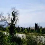 Prodaja, plac, 422m², Markovići, Budva - image 3