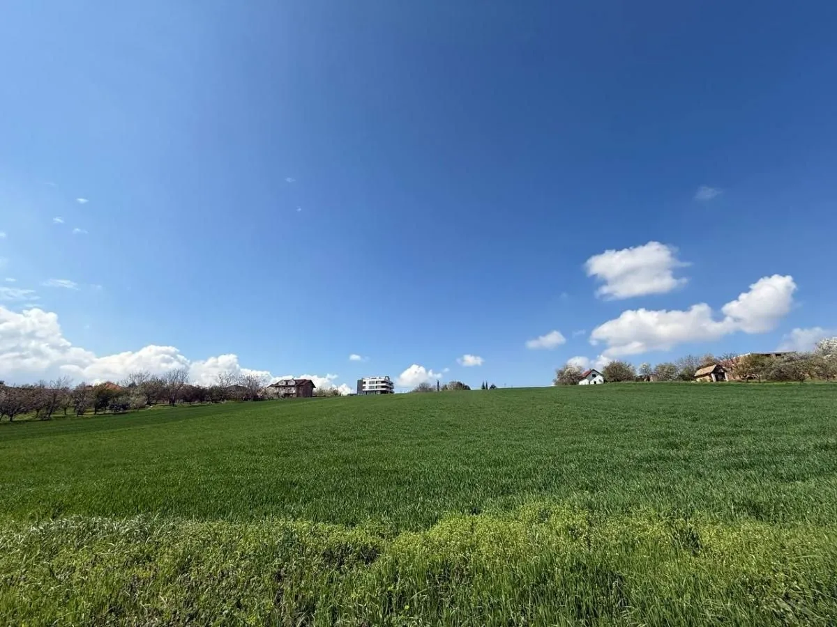 Prodaja, plac, 8024m², Petrovaradin, Novi Sad