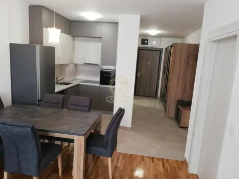 Izdavanje, dvosoban stan, 49m², Hala Pionir, Palilula Sve Podlokacije - image 2