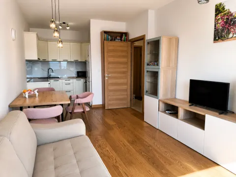 Rent, one bedroom apartment, 46m², New City, Podgorica - image 2