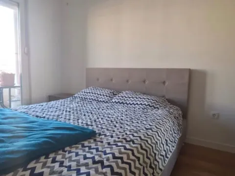 Izdavanje, jednosoban stan, 49m², Central Point, Podgorica - image 5