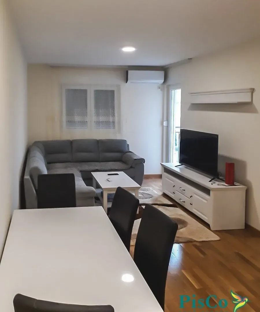 Rent, one bedroom apartment, 45m², Zagorič, Podgorica